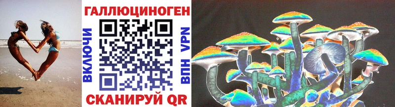 Псилоцибиновые грибы Cubensis  даркнет сайт  Карабулак 